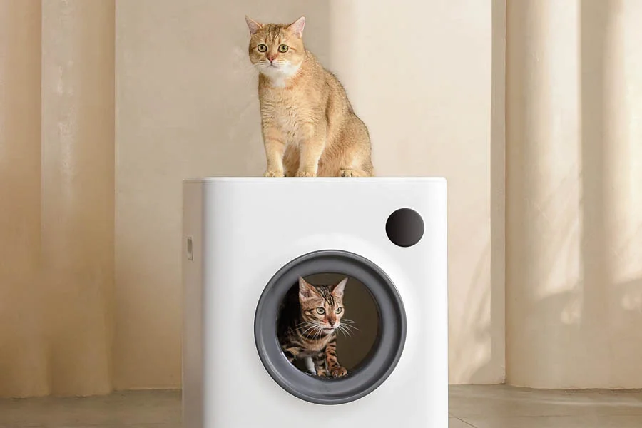 best self cleaning cat litter boxes